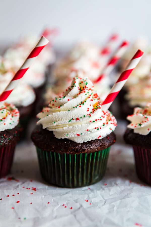 A close up shot of Peppermint Hot Chocolate Cupcakes in rows.